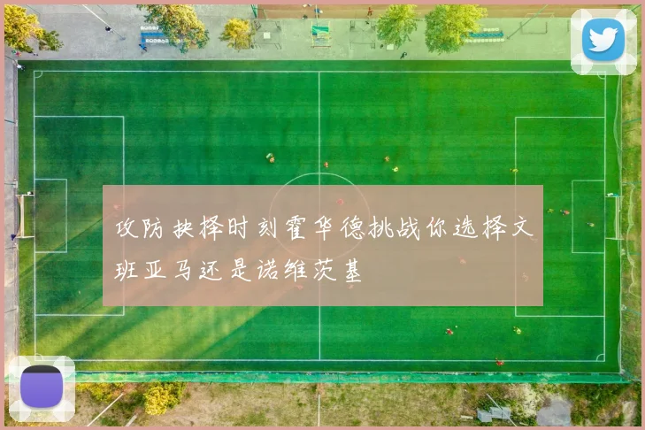 攻防抉择时刻霍华德挑战你选择文班亚马还是诺维茨基